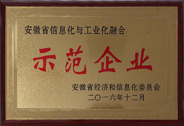 示范企業(yè)榮譽（子公司）